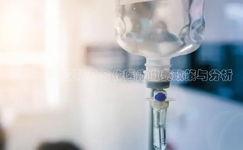 龙8国际电子平台